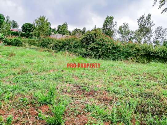 0.05 ha Residential Land at Ondiri image 7