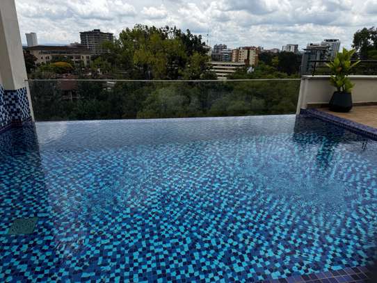 Furnished 1 Bed Apartment with En Suite in Rhapta Road image 3