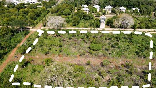 DIANI PRIME THIRD ROW BEACH PLOTS READY FOR TAKING image 5