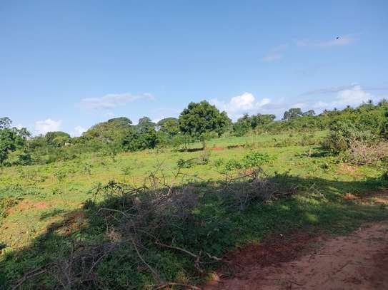 Residential Land at Mtondia Kilifi image 6