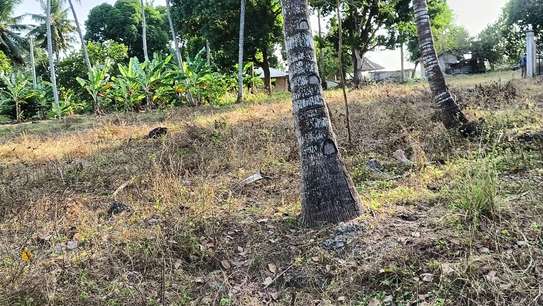 15 ac Land at Bomani image 12