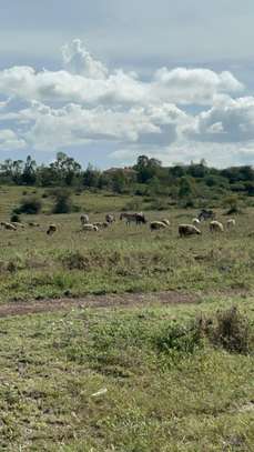 Land in Mombasa Road image 4