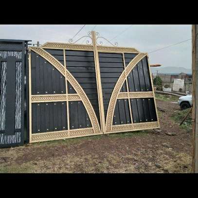 Double Gate with Gold Accents image 2