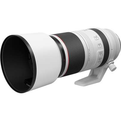 Canon RF 100-500mm f/4.5-7.1L IS USM Lens image 3