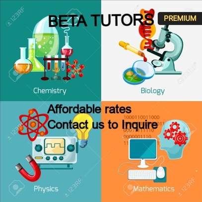 Beta Home Tutors image 2