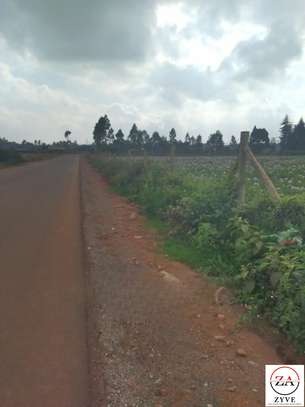 20 ac Land at Moi Ndabi / Maiela image 4