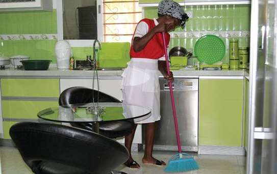 Professional cleaning services - House Managers, Cleaners, Housekeepers, Chefs/Cooks, Estate Managers, Butlers, Chauffeurs/Drivers, Tutors, Maternity Nurses, Nannies, Gardeners and Grounds Staff, Security/Close Protection, Fundis and Maintenance Staff in Nairobi. image 1