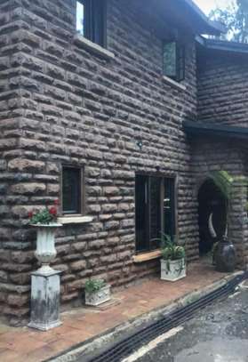 5 Bed Villa with En Suite in Kitisuru image 9