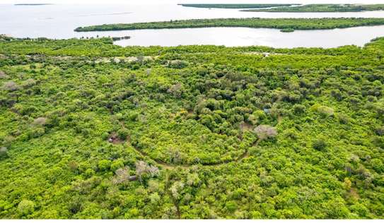 Residential Land in Diani image 3