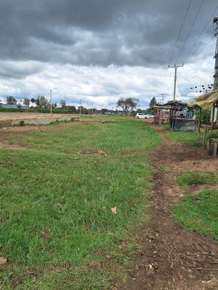 1/2 Acre Commercial Land For Sale in Nanyuki image 1