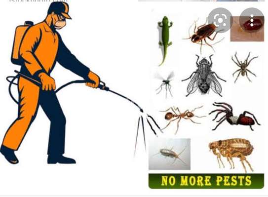 Fumigation and pest control services image 2