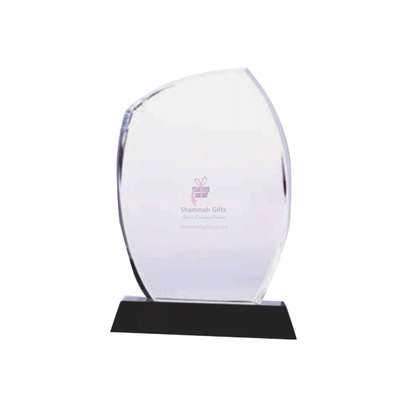 Order for quality crystal award A4 size customized with your message engraved. image 1