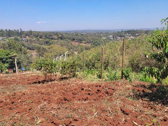 Lovely one eighth plots in Ngong image 2