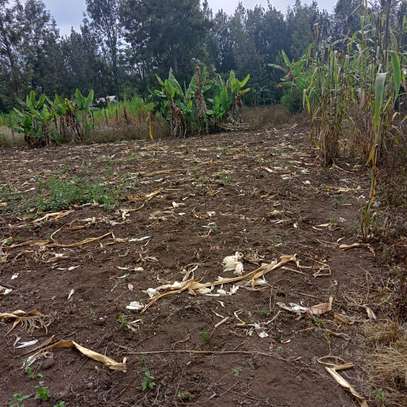 40*80ft plots for sale at Makuyu near Makuyu Teachers c image 4