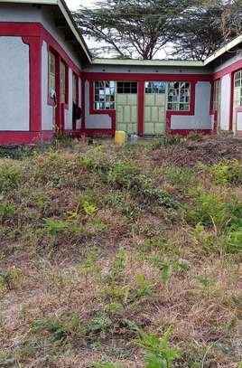 Ten one roomed houses for sale image 1
