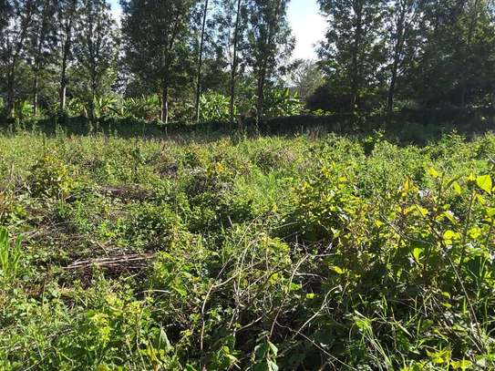 1000 m² residential land for sale in Ngong image 5