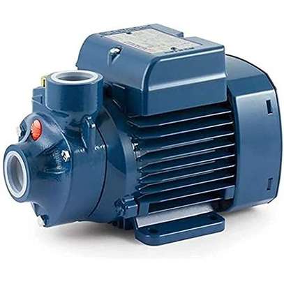 Pedrollo Corded Electric PKm60 Water Pumps image 2