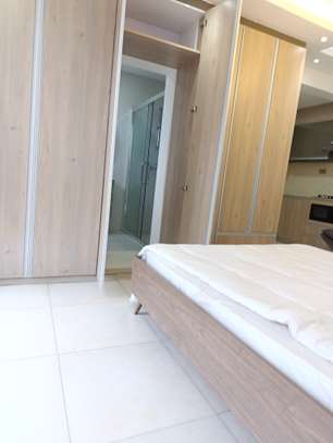 Studio Apartment with En Suite at Sports Road image 3