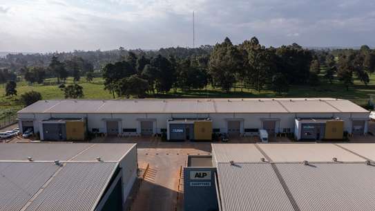 10,764 ft² Warehouse with Backup Generator at Tilisi image 16