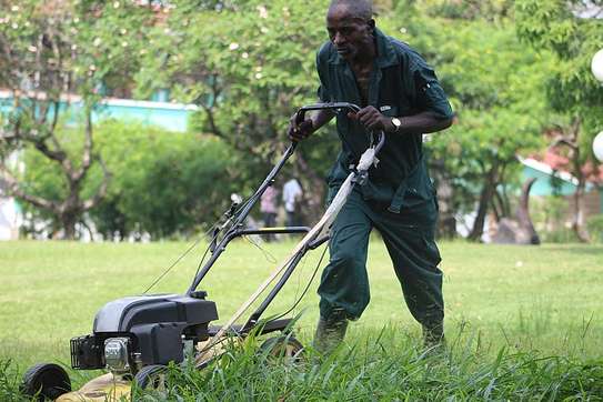 Lawn Mowing And Garden Services | Request your free, no-obligation grass cutting quotation now image 1