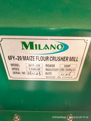 Grade 1 Maize floor Roller Mill image 7