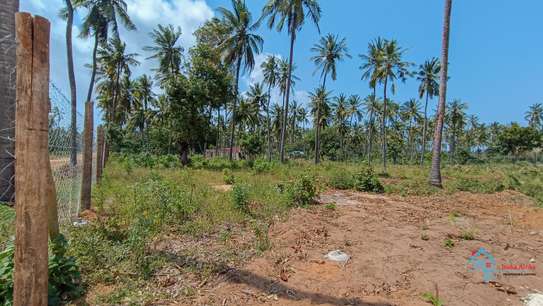 Prime Tropical Land Plot Cleared for Building image 6