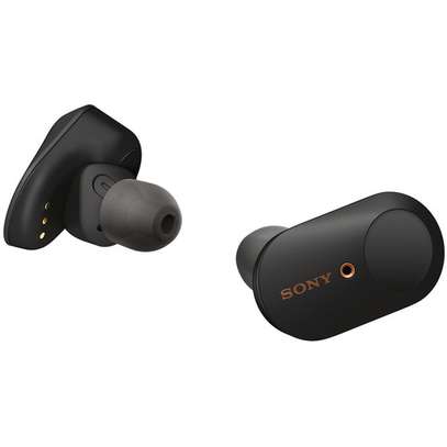 Sony WF-1000XM3  Earbuds image 1
