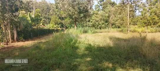 Kithimu 1½ Acres image 2
