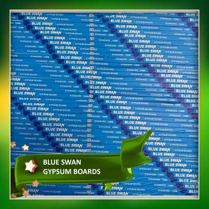BLUE SWAN GYPSUM  BOARD image 5