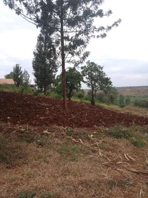40X80ft PLOTS FOR SALE AT KABATI ZABKA IN MURANGA COUNTY image 2
