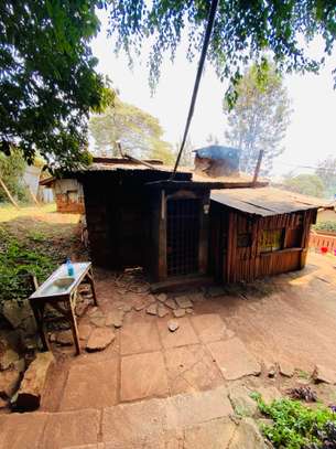 1 ac Land at Banana Raini Road image 10