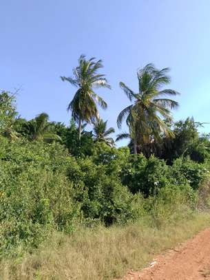 1/4 acre Land for sale in diani image 9