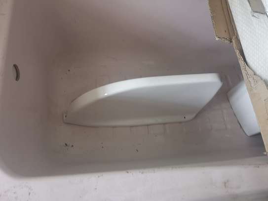 Urinal divider image 3