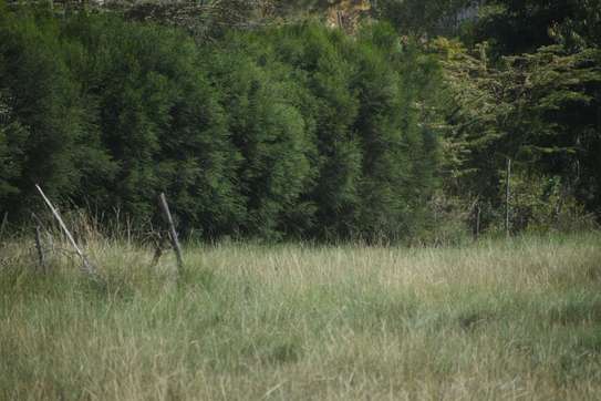 0.092 ha Land at Nyeri-Nanyuki Road image 31