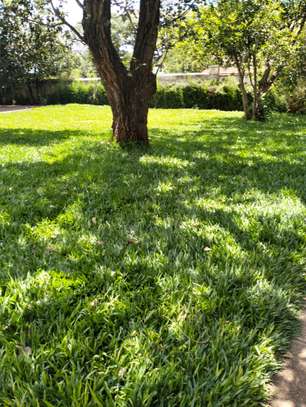 1 ac Commercial Land in Lavington image 5