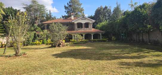 4 Bed House with En Suite at Plains 34 image 19