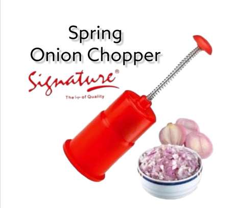 Spring Onion Cutter image 1