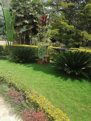 4 Bed House with En Suite in Runda image 31