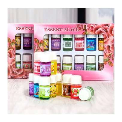 12pc Essential Oil Set Diffusers, Humidifiers & Aromatherapy image 1