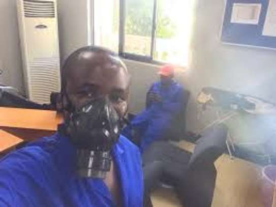 CHEAP Bed Bug fumigation services In Kangemi/Kawangware image 1