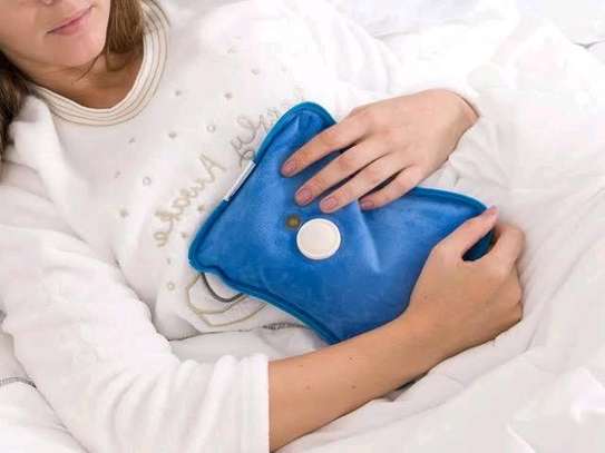Electric Hot Water Bottle image 1