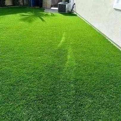 Beautiful grass carpets&#&# image 1