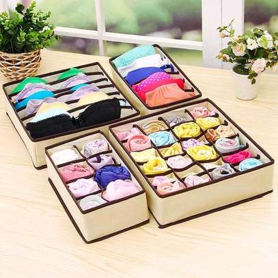 4in1 under garments organizer image 2