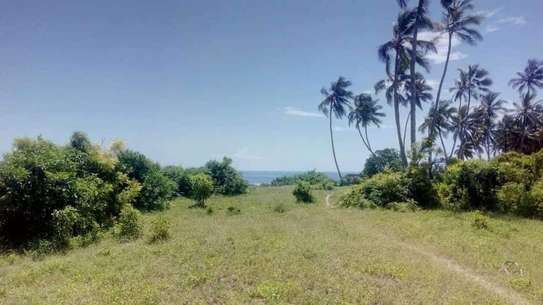 Residential Land in Vipingo image 1