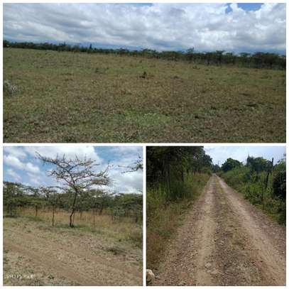 4 acres farm in Ndaragwa, Nyahururu at 1m per acre image 1