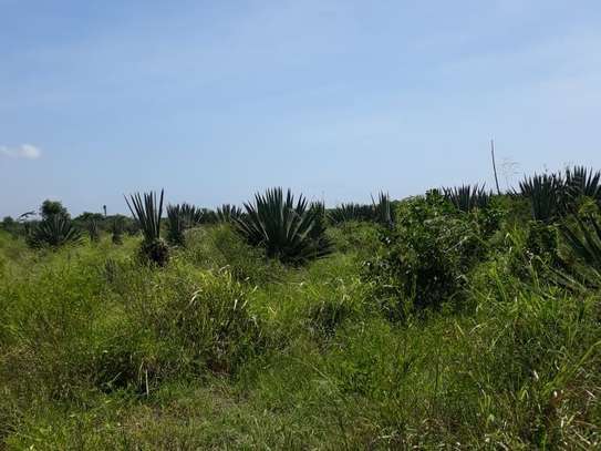 1,012 m² Residential Land in Vipingo image 11