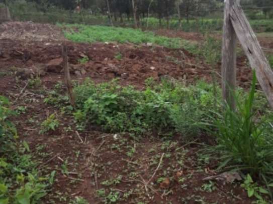 486 m² Residential Land in Ngong image 2