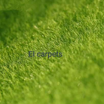 ELEGANT GRASS CARPETS image 1