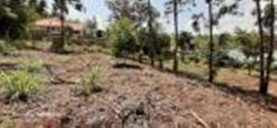 Prime 1/4 an acre for sale in Kerarapon image 1