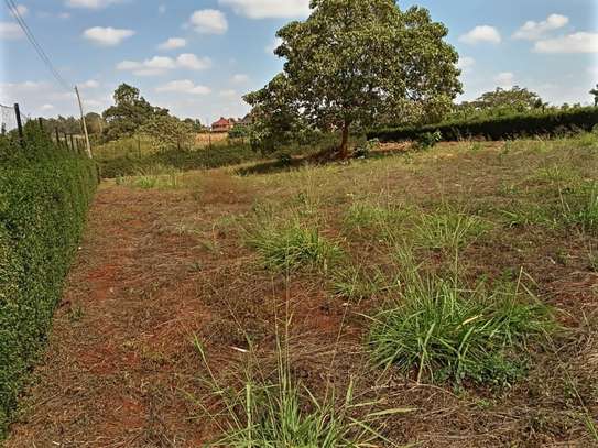 0.25 ac Residential Land at Thika Greens image 8